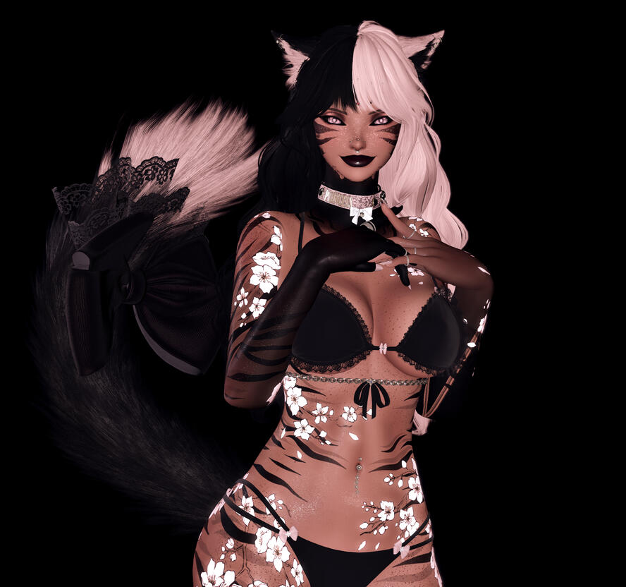 Cinder Moon (Content Manager + Photographer)